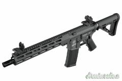 ASTRA ARMS VG4 BRUTALE 12″ 223rem