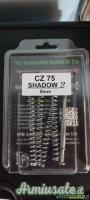 DPM KIT Molle per CZ SHADOW 2
