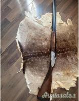 Beretta Platine S2 12