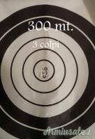 SABATTI DESERT TACTICAL SYNTETIC CAL.308 WIN CON OTTICA