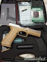 Arsenal STRIKE ONE 9x21mm IMI