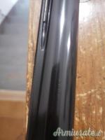 Canna Benelli Montefeltro 65 **** CB 12