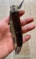 COLTELLO VIRGINIA ANNI 80