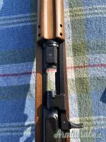 Chiappa Armi M1 .22 Long Rifle