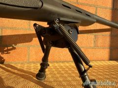 Remington 700 .308 Winchester
