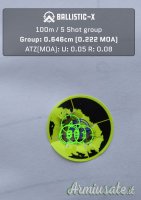 BCM Mod. LSR Tactical Match 308W Match, Canna BORDER 22