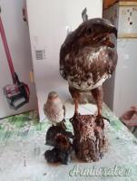 2 trofei anni 90 poiana e rigogolo