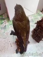 2 trofei anni 90 poiana e rigogolo