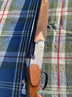 Zoli Antonio Gardone 12