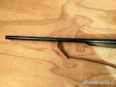 ...Altro | Non elencato doppietta cani esterni 12