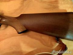 ...Altro | Non elencato doppietta cani esterni 12