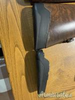 Franchi Affinity Intensity 20