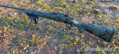 Remington 700 .243 Winchester