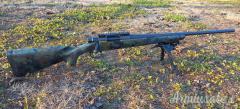 Remington 700 .243 Winchester