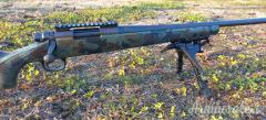 Remington 700 .243 Winchester