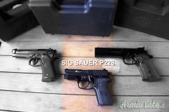 SIG-Sauer P228 9x21mm IMI