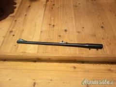 Blaser canna 270 win