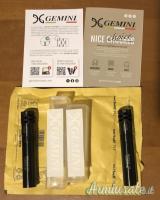 Gemini per Benelli AI