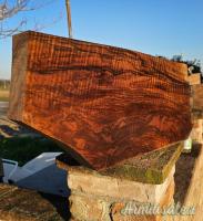 Beretta/Perazzi Calcio + Asta