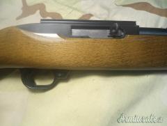 Ruger | Sturm 10 / 22 .22 Long Rifle