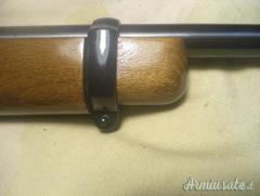 Ruger | Sturm 10 / 22 .22 Long Rifle