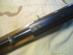 Ruger | Sturm 10 / 22 .22 Long Rifle