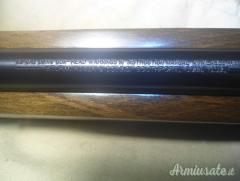 Ruger | Sturm 10 / 22 .22 Long Rifle