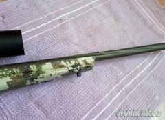 Franchi horizon  .223 Remington
