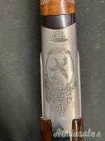 Rizzini br110 light luxe 20