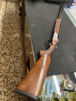Rizzini br110 light luxe 20