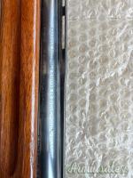 Browning automatico 12