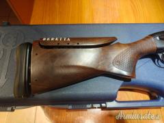 Beretta Ugb25 xcel  12