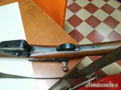 Schmidt Rubin 1889 W+F