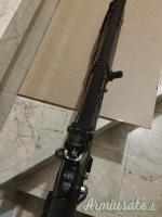 SIG-Sauer Sport Europe .223 Remington