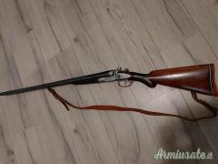 Beretta Vittoria cani esterni  12