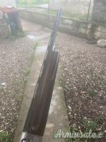 Benelli duca di montefeltro 20