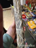 Franchi Affinity 3 12