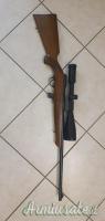 Beretta Storting .22 Long Rifle