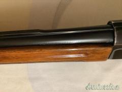 ...Altro | Non elencato Fucile 12