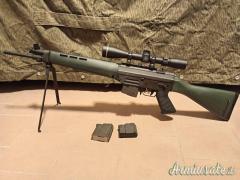 SIG-Sauer  .222 Remington