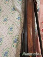 Beretta Al391 urika gold 12