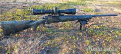 Remington 700 .243 Winchester