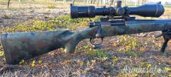 Remington 700 .243 Winchester