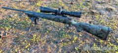 Remington 700 .243 Winchester