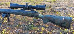 Remington 700 .243 Winchester
