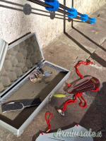 Arco compoud PSE Mack 5