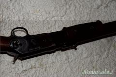 Colt Carabina