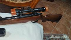 Steyr Mannlicher L  243 Winchester