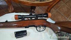 Steyr Mannlicher L  243 Winchester