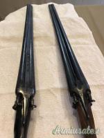 ...Altro | Non elencato Doppiette cani esterni 12